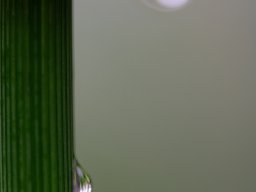 Christine Vanhoutven